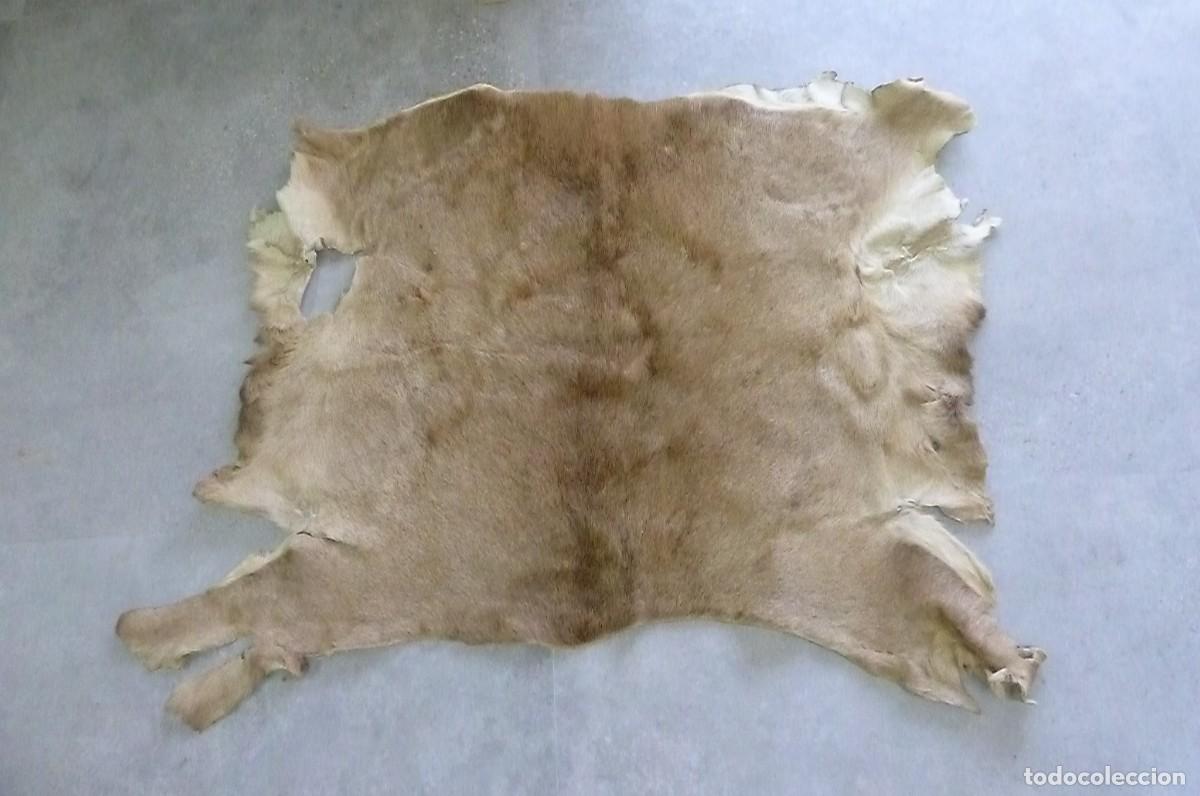 Vintage: Alfombra piel de ciervo - Foto 2
