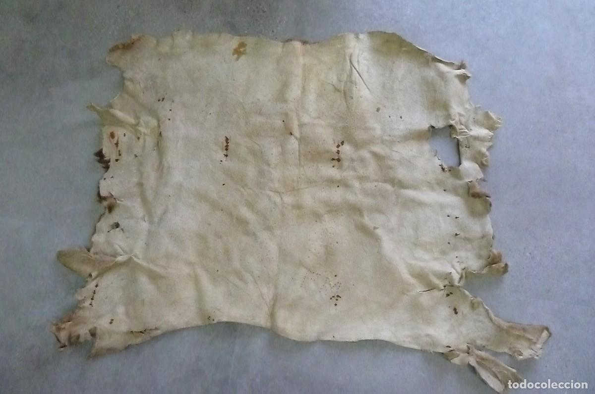 Vintage: Alfombra piel de ciervo - Foto 5