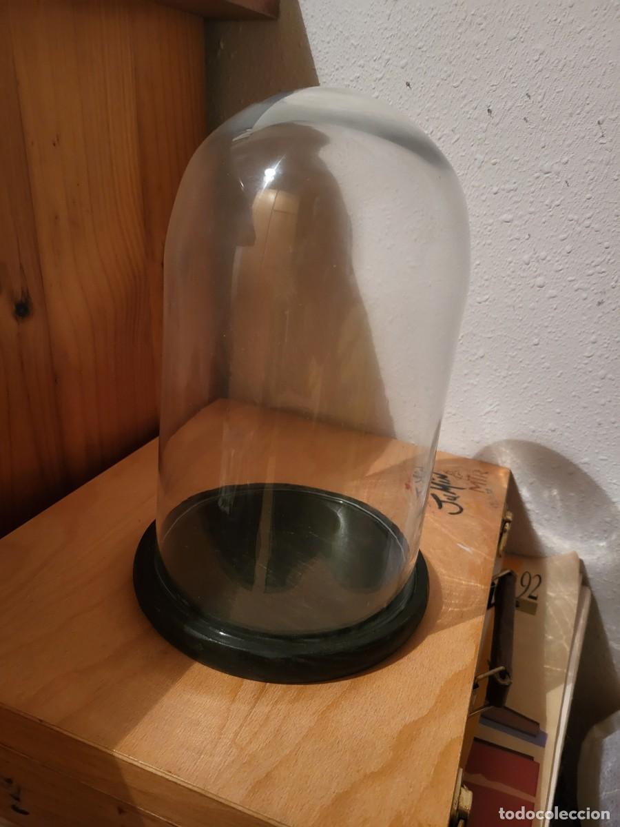 Vintage: URNA / CAMPANA DE CRISTAL CON BASE DE MADERA - Foto 1