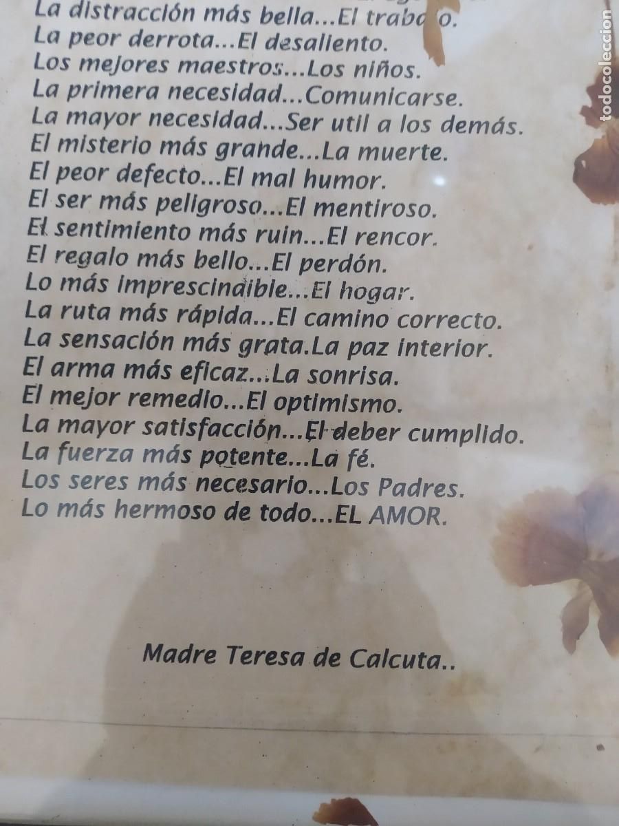 Vintage: CUADRO CON CITAS DE LA MADRE TERESA DE CALCUTA - Foto 5