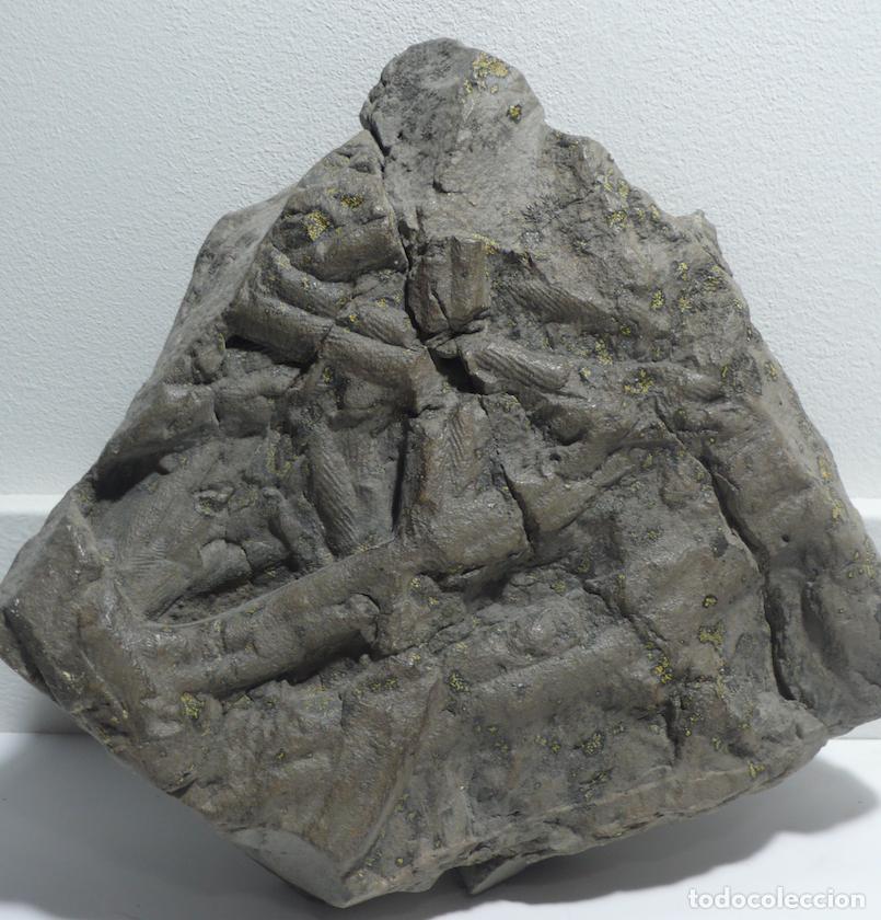 Vintage: DOS PIEDRAS FOCILES DE RAMAS - Foto 3