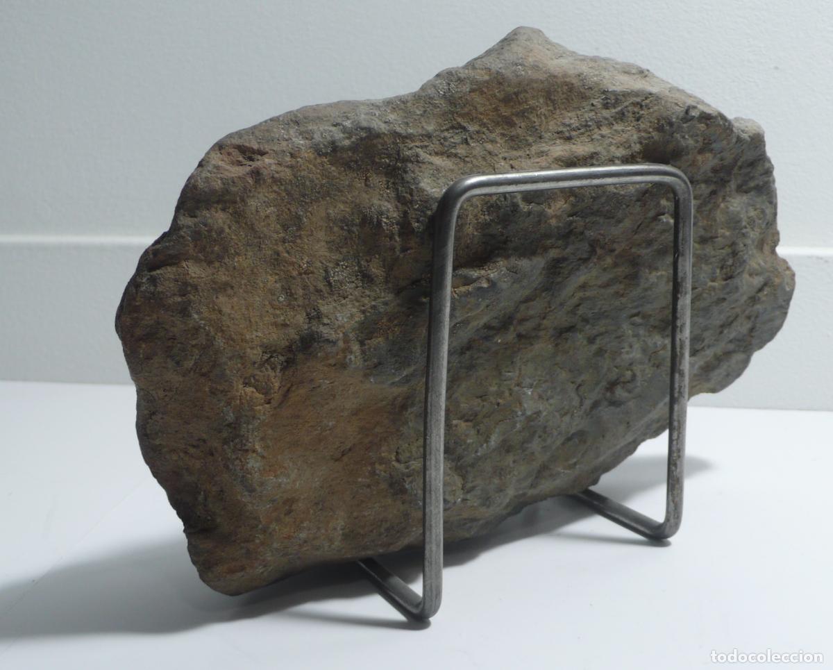 Vintage: DOS PIEDRAS FOCILES DE RAMAS - Foto 7