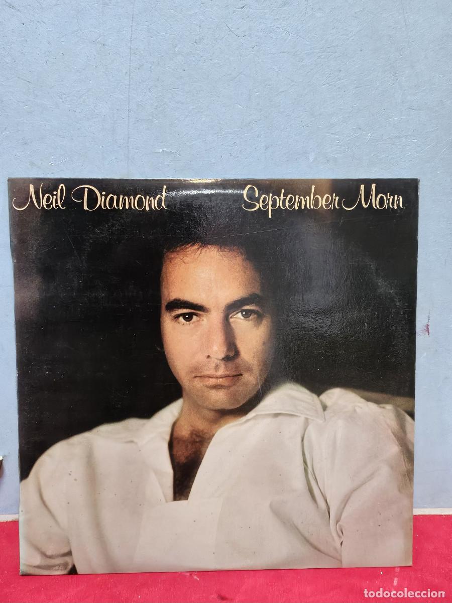 Vintage: disco de vinilo Lp Noel Dia - Foto 1