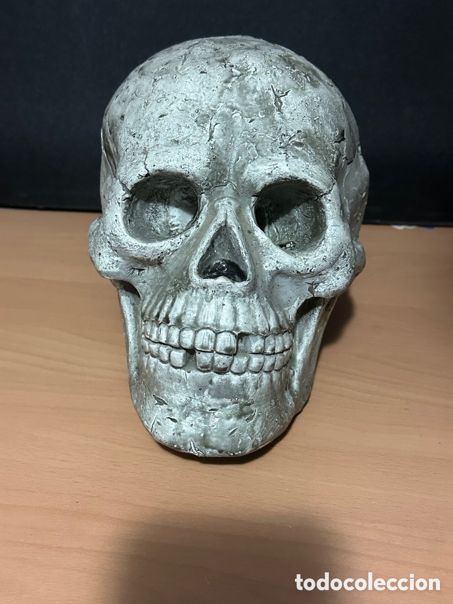 Vintage: CALAVERA CRANEO DECORACION CON LUZ Y SONIDO, MUY REAL