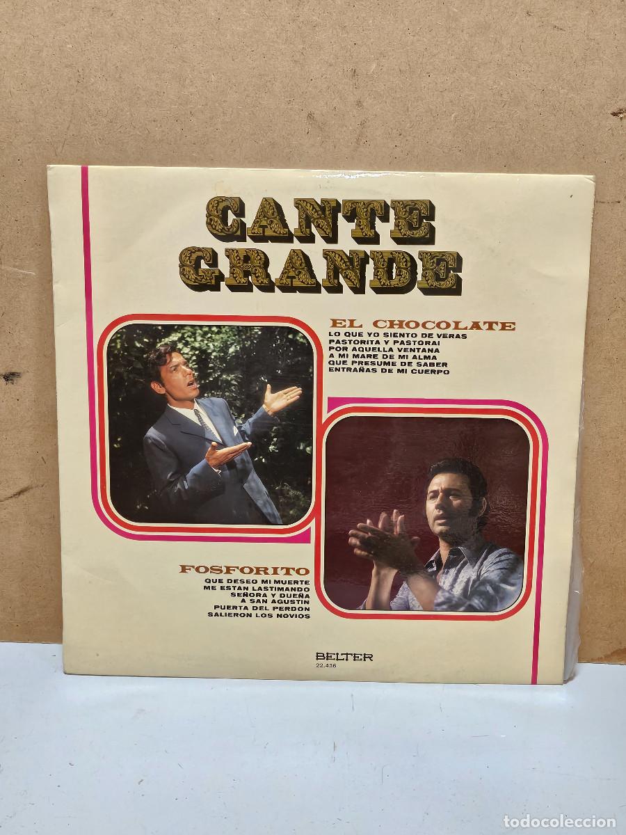 Vintage: disco lp de cante grande - Foto 1