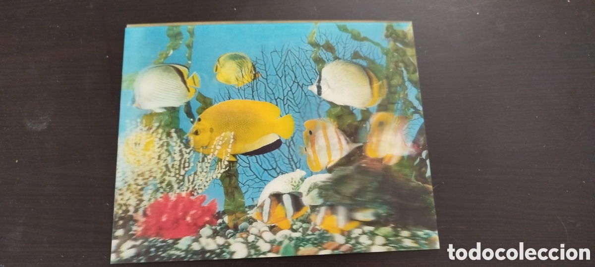 Vintage: Laminas 3D a&ntilde;os 1970 - Foto 3