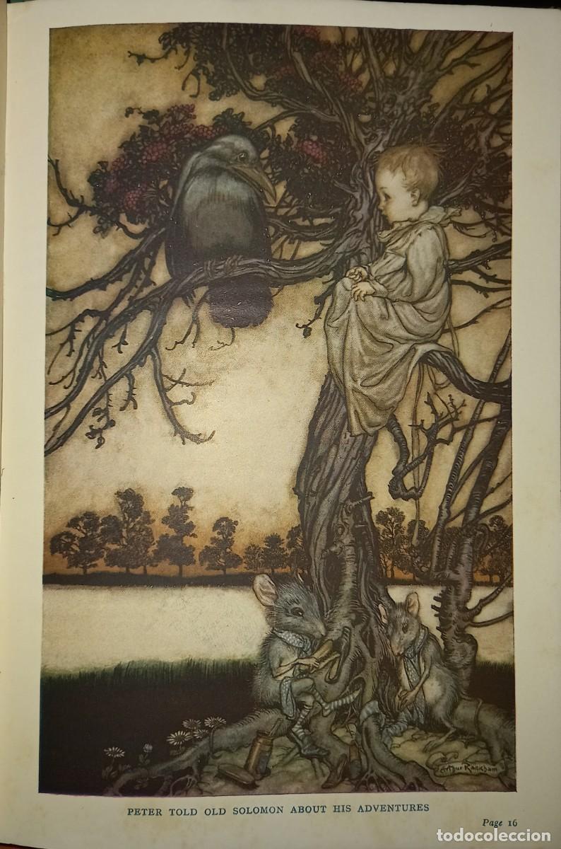 Vintage: Peter Pan in Kensington Gardens - Foto 6