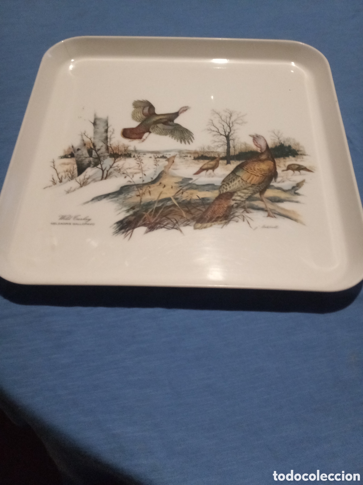 Vintage: BANDEJA PL&Aacute;STICO - CELULOIDE - MEBEL - ITALIA - Foto 3