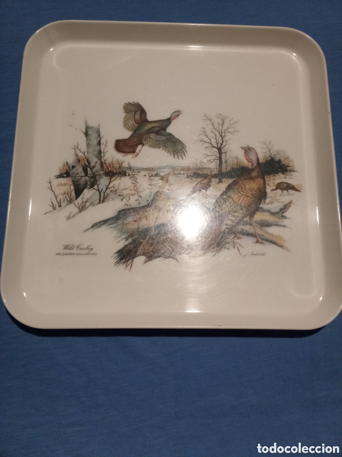 Vintage: BANDEJA PL&Aacute;STICO - CELULOIDE - MEBEL - ITALIA - Foto 1