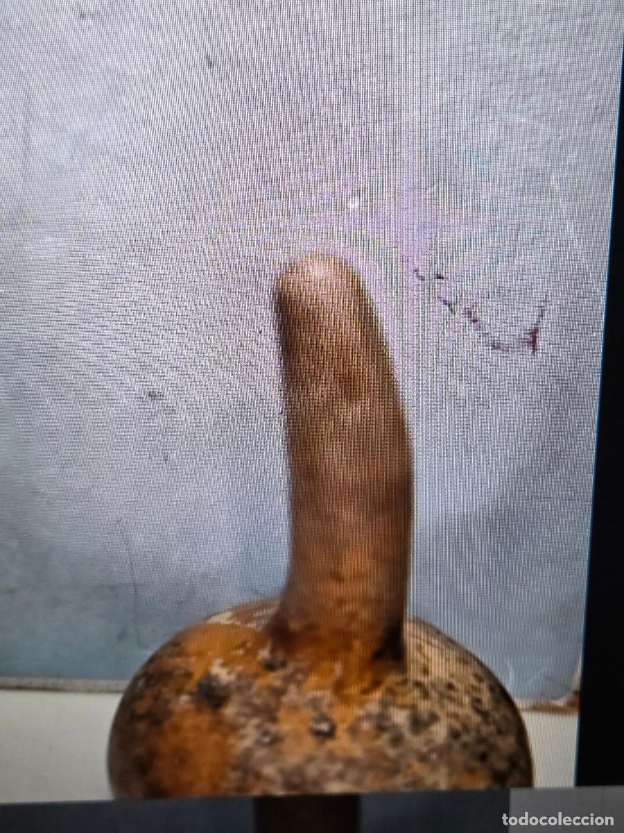 Vintage: calabaza disecada vintage - Foto 2