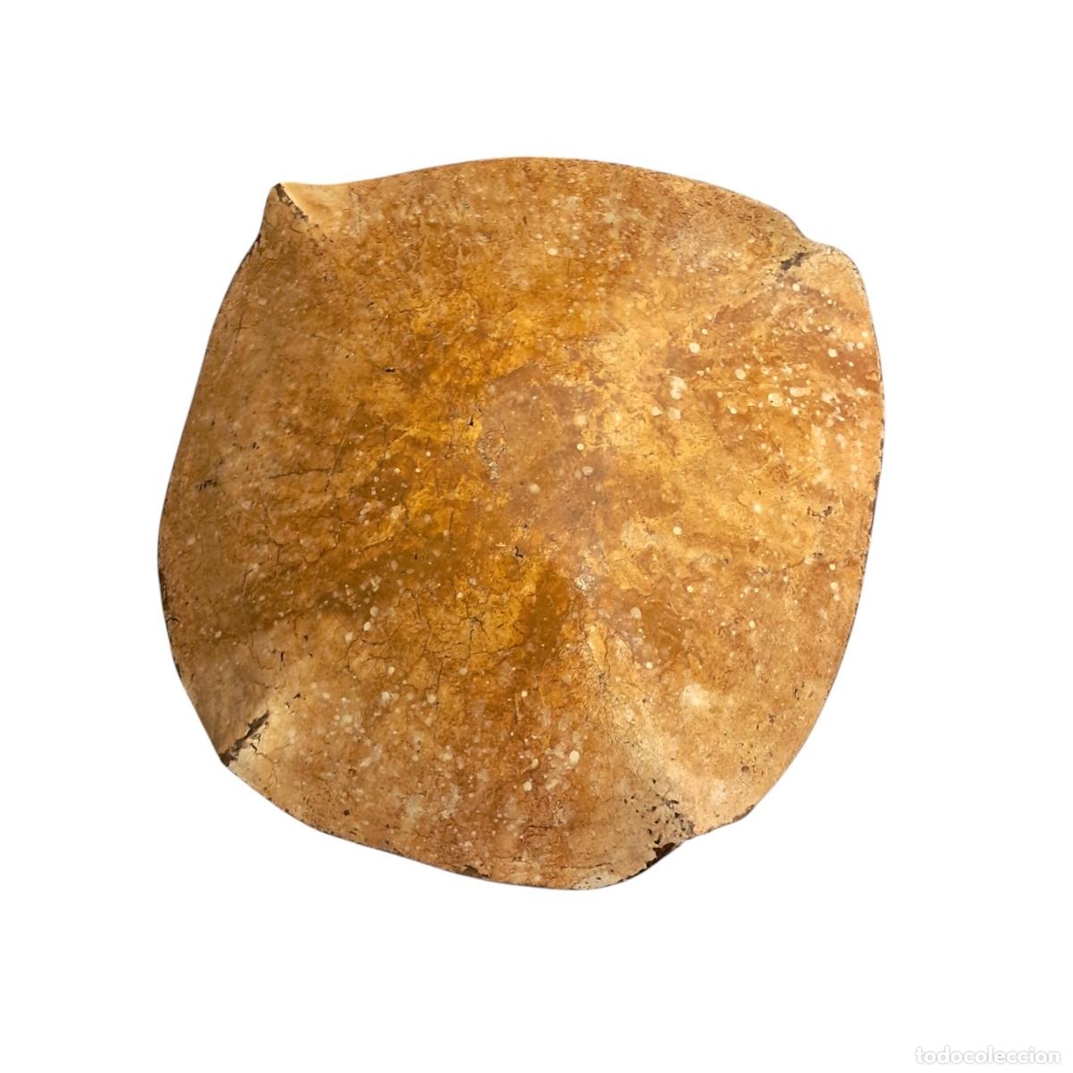 Vintage: Seta de Madera Policromada Amarilla - Foto 3