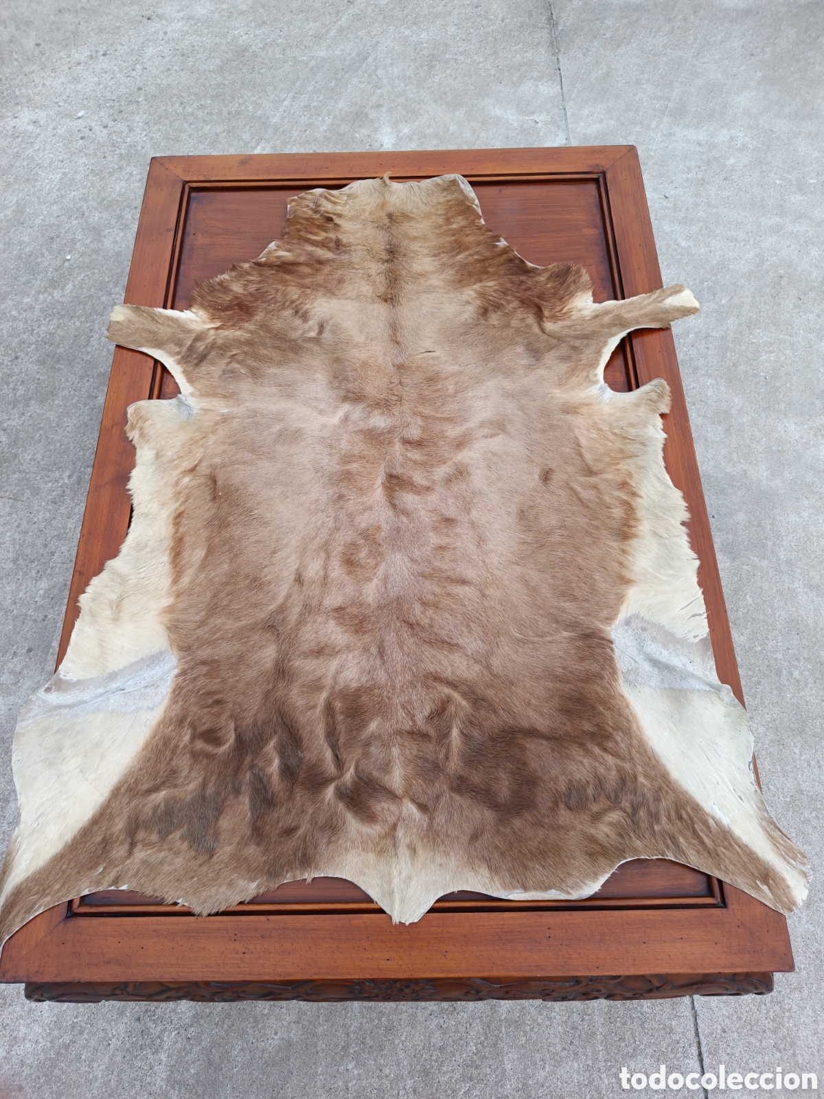 Vintage: PIEZA DE PIEL CURTIDA CON PELO. - Foto 4