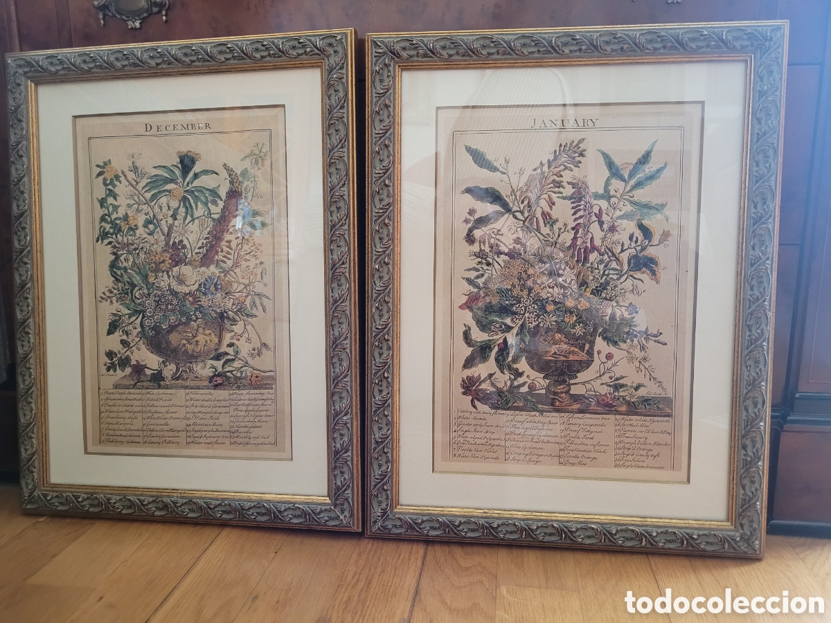 Vintage: PAREJA DE LAMINAS DE PLANTAS, ENMARCADAS