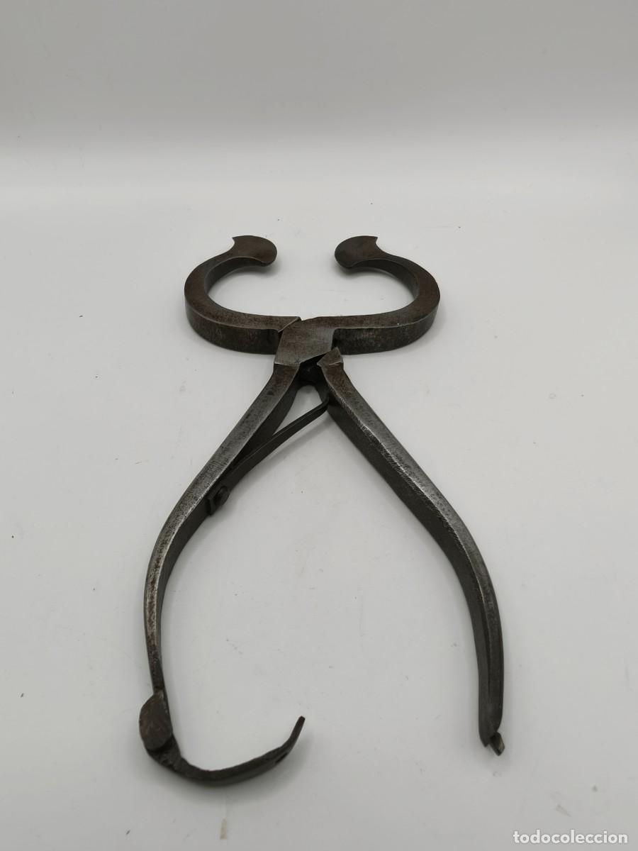 Vintage: Pinzas para cortar azucar,S XIX,tal como se ve en las fotos.