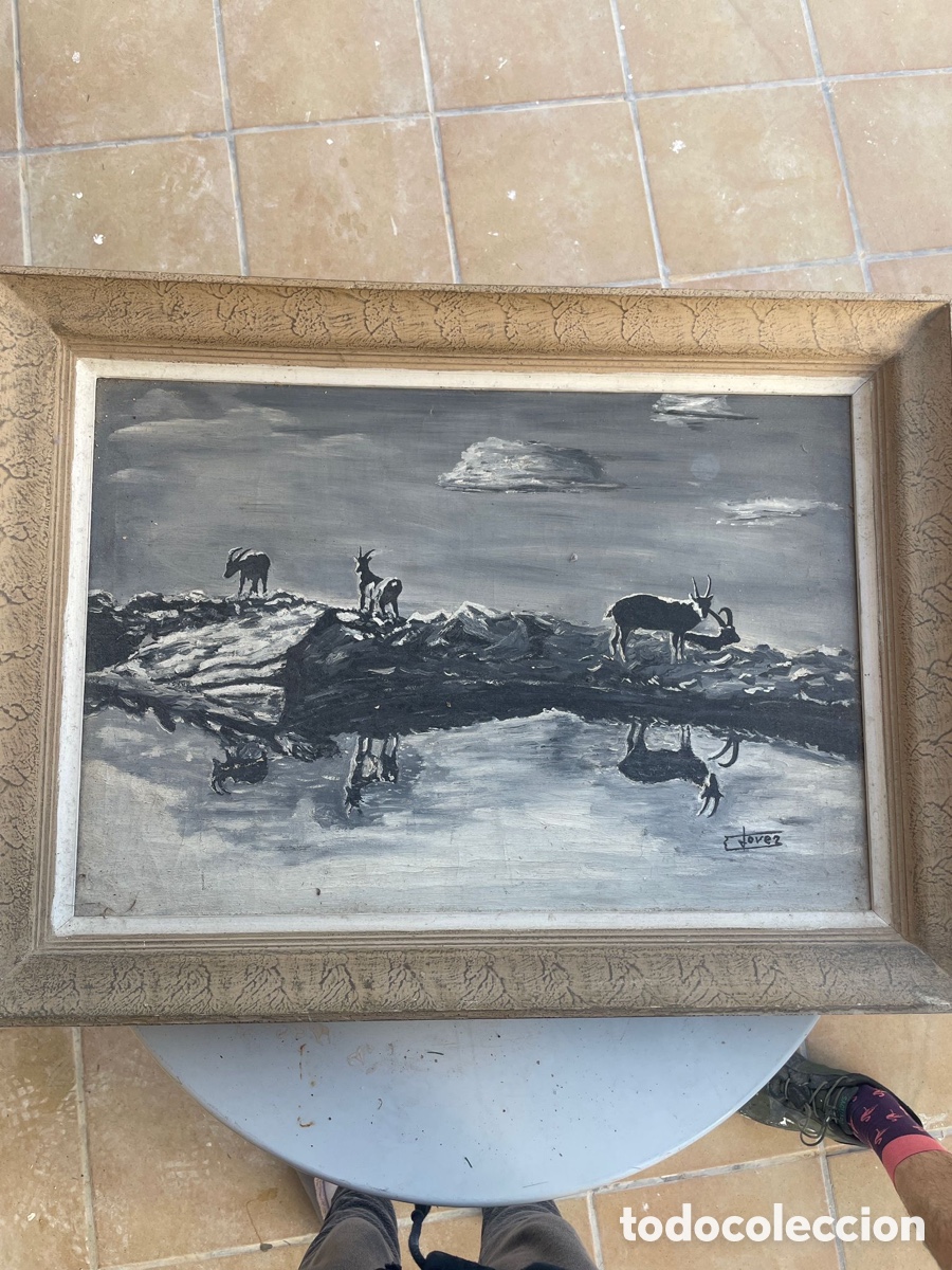 Vintage: Gran &oacute;leo firmado Jover con marco cl&aacute;sico de calidad &ndash; 65x48 cm