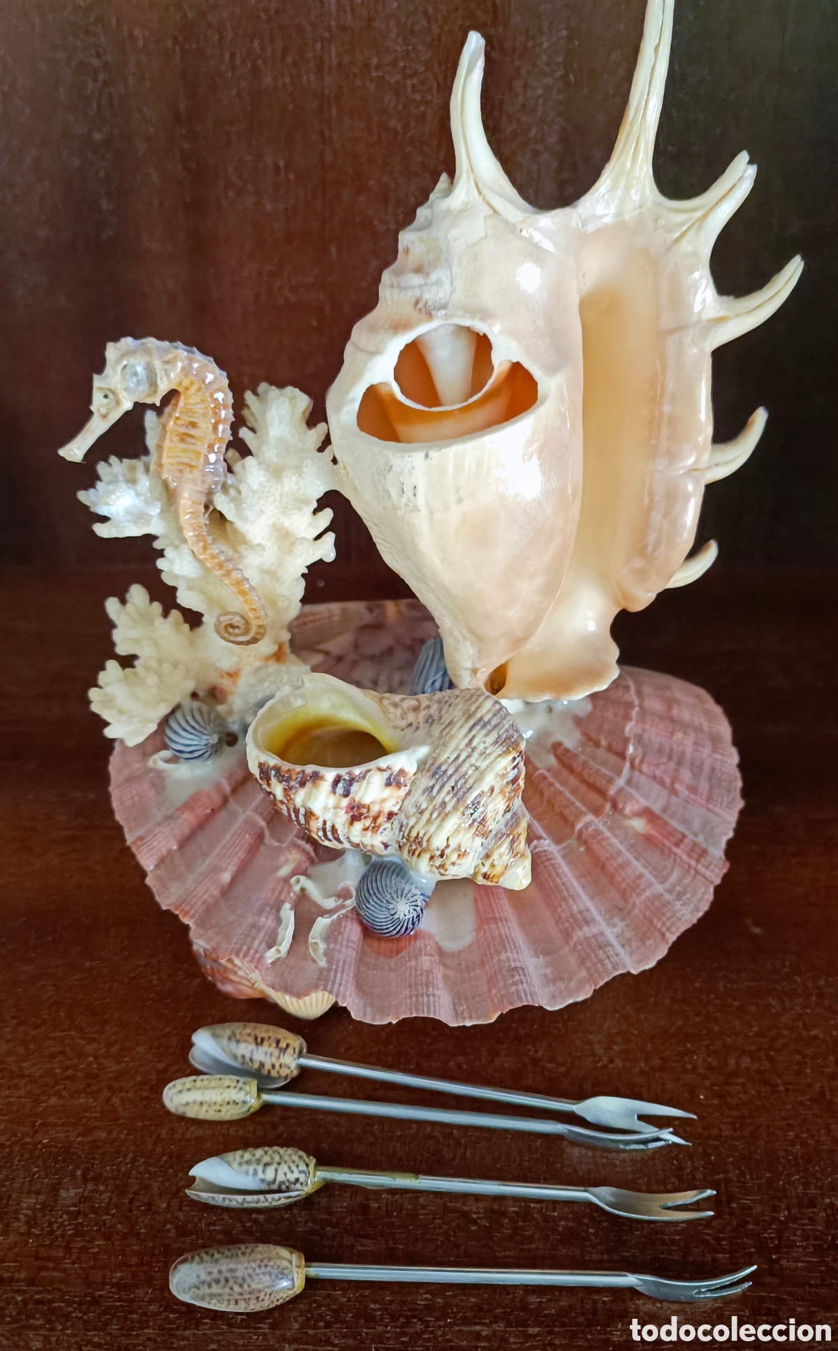 Vintage: ADORNO DE CONCHAS Y CORAL