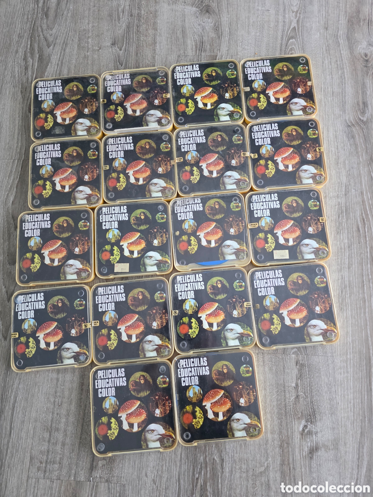 Vintage: lote 19 peliculas super 8 educativas color