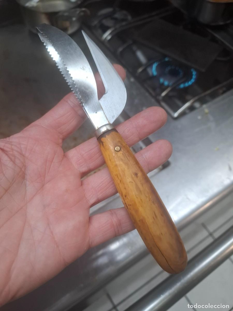 Vintage: Escamador antiguo de pescado