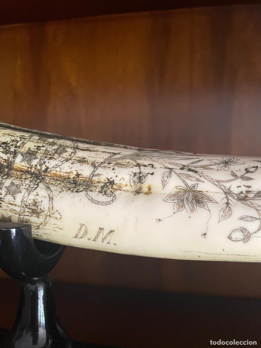Vintage: Colmillo (r&eacute;plica vintage Scrimshaw) - Foto 3