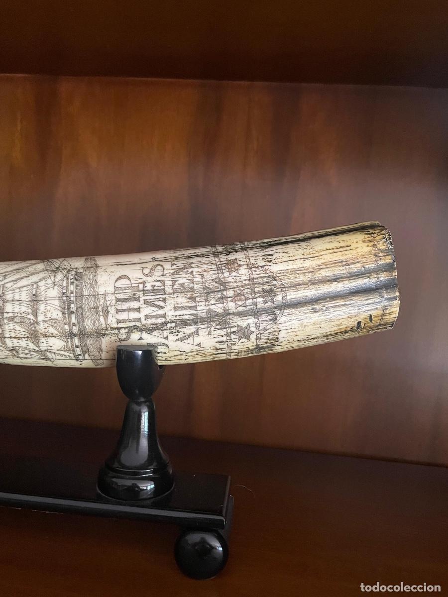 Vintage: Colmillo (r&eacute;plica vintage Scrimshaw) - Foto 5