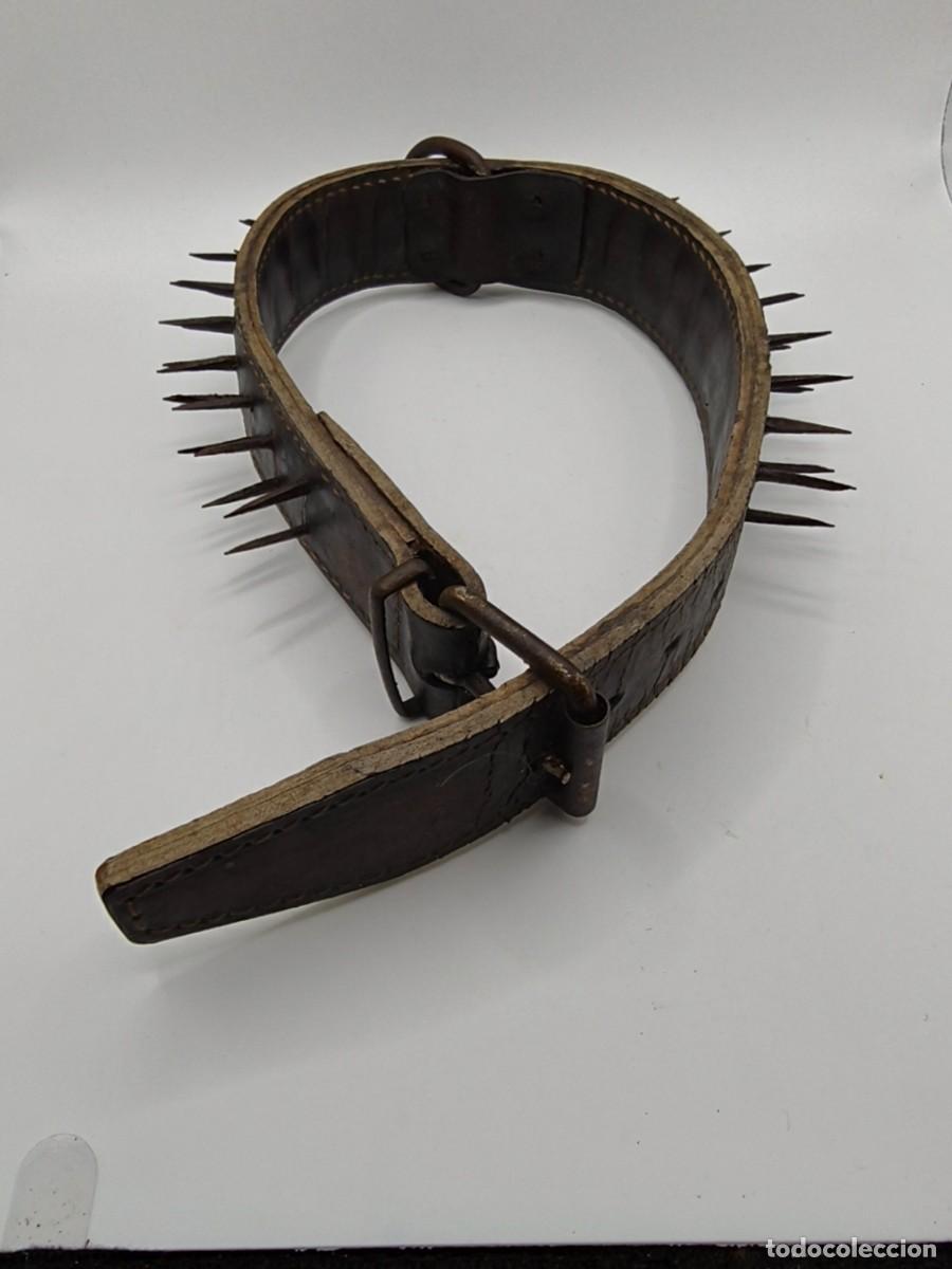 Vintage: Collar de cuero y clabos de forja, para perro pastor.