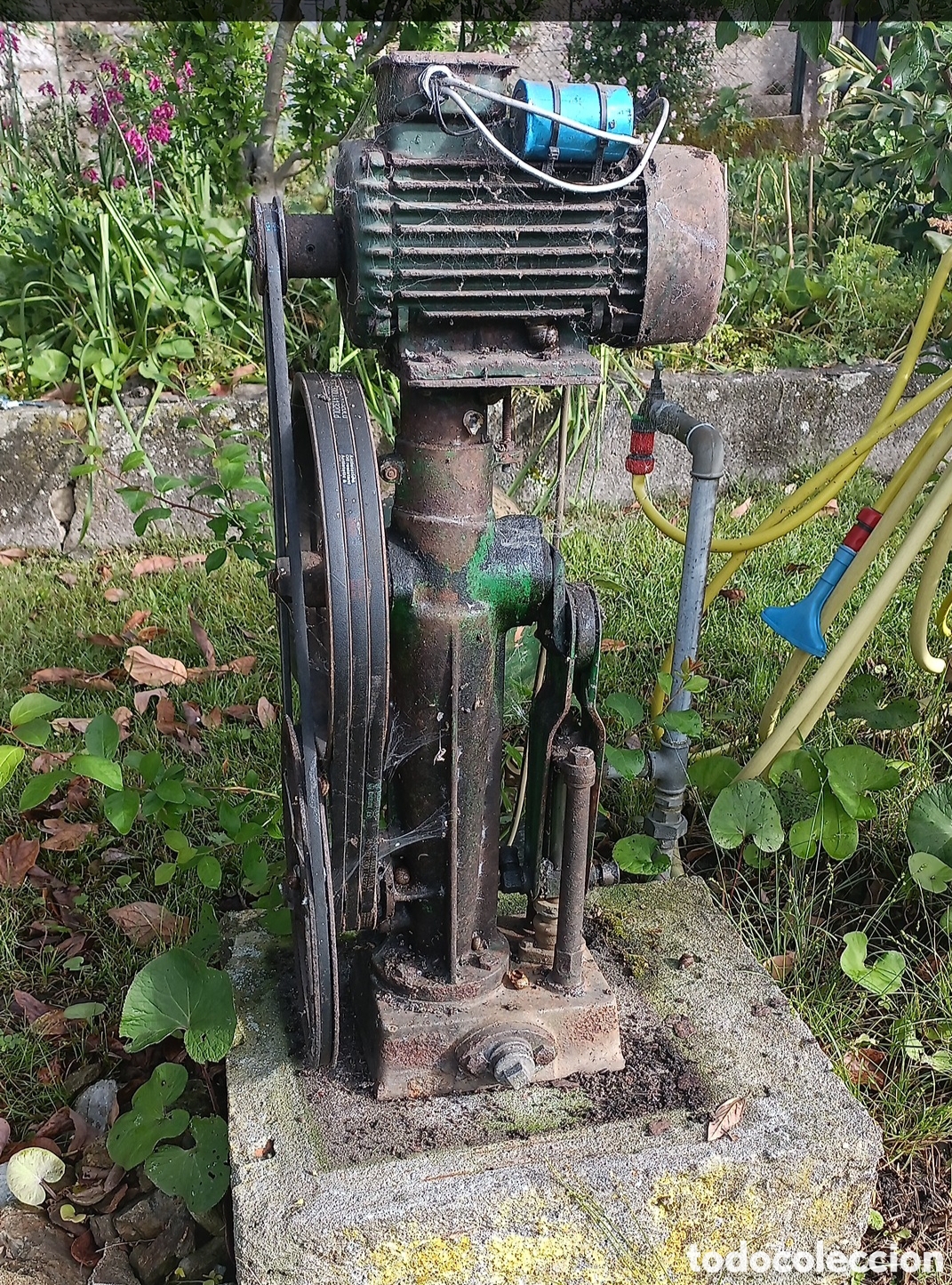 Vintage: Taca, bomba de agua antigua