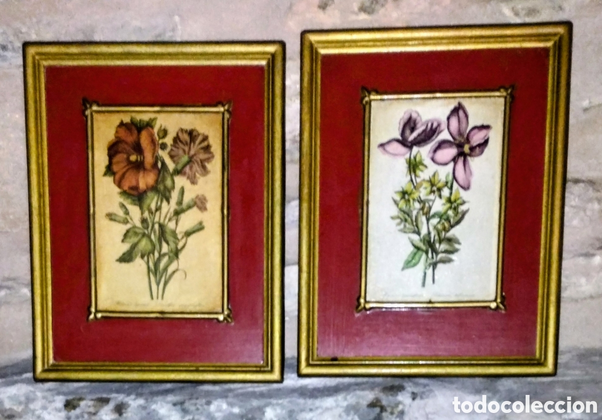 Vintage: PAREJA de CUADROS vintage PAPAVER SOMNIFERUM y CLEM&Aacute;TIDES de 25 x 20 cms EN BUEN ESTADO.