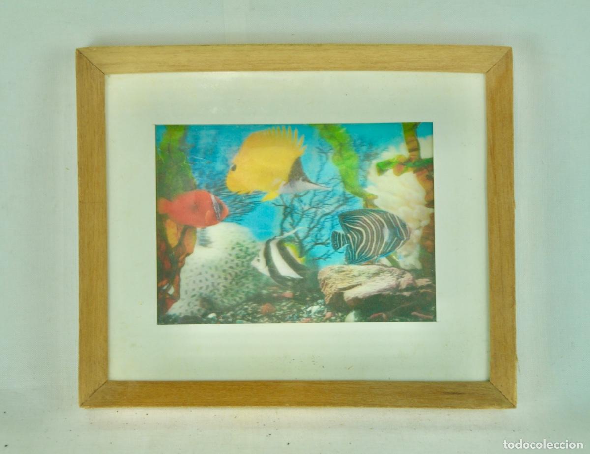 Vintage: Cuadro peces 3 dimensiones