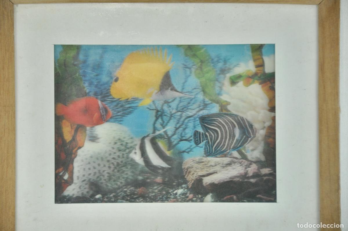 Vintage: Cuadro peces 3 dimensiones - Foto 2