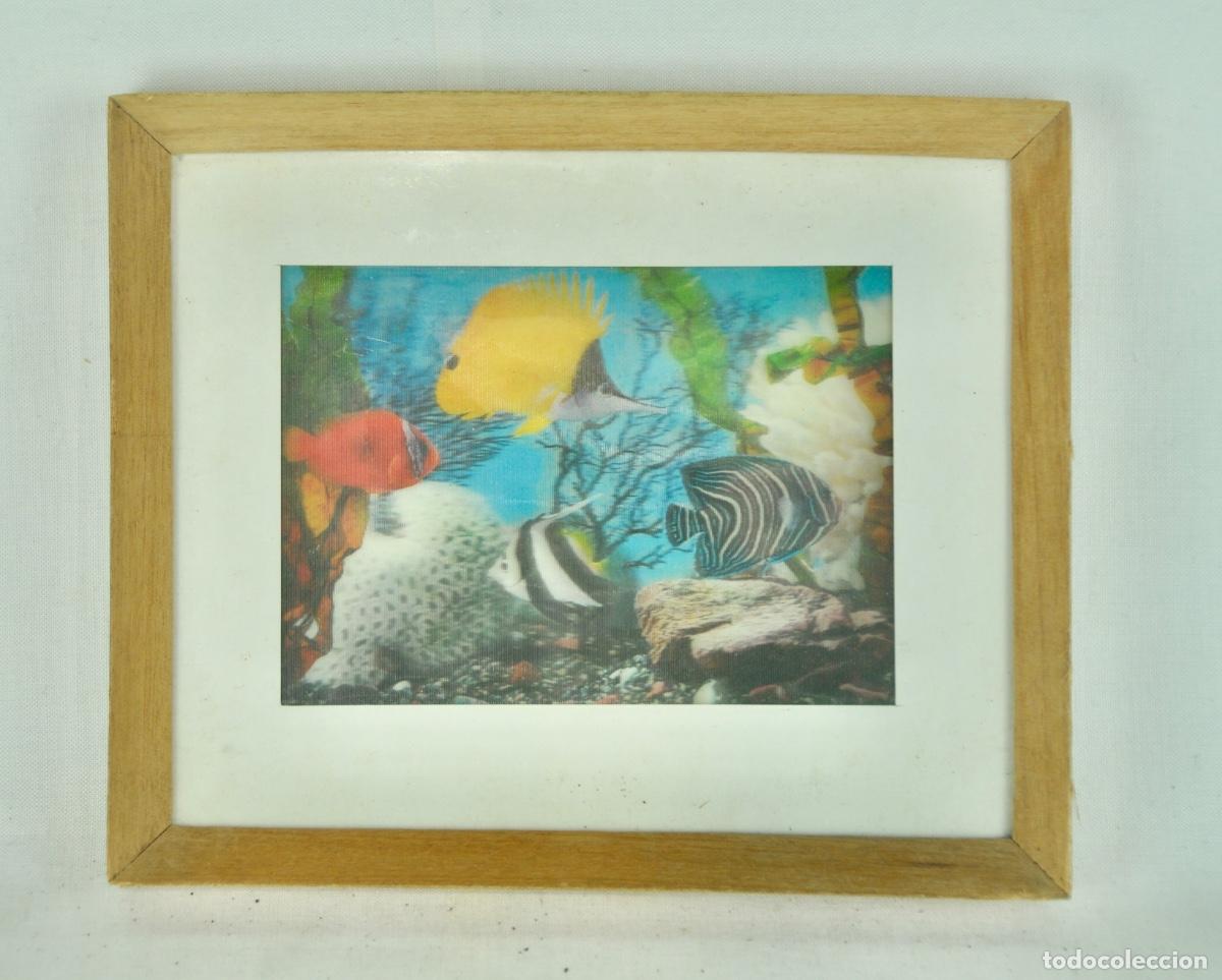 Vintage: Cuadro peces 3 dimensiones - Foto 3