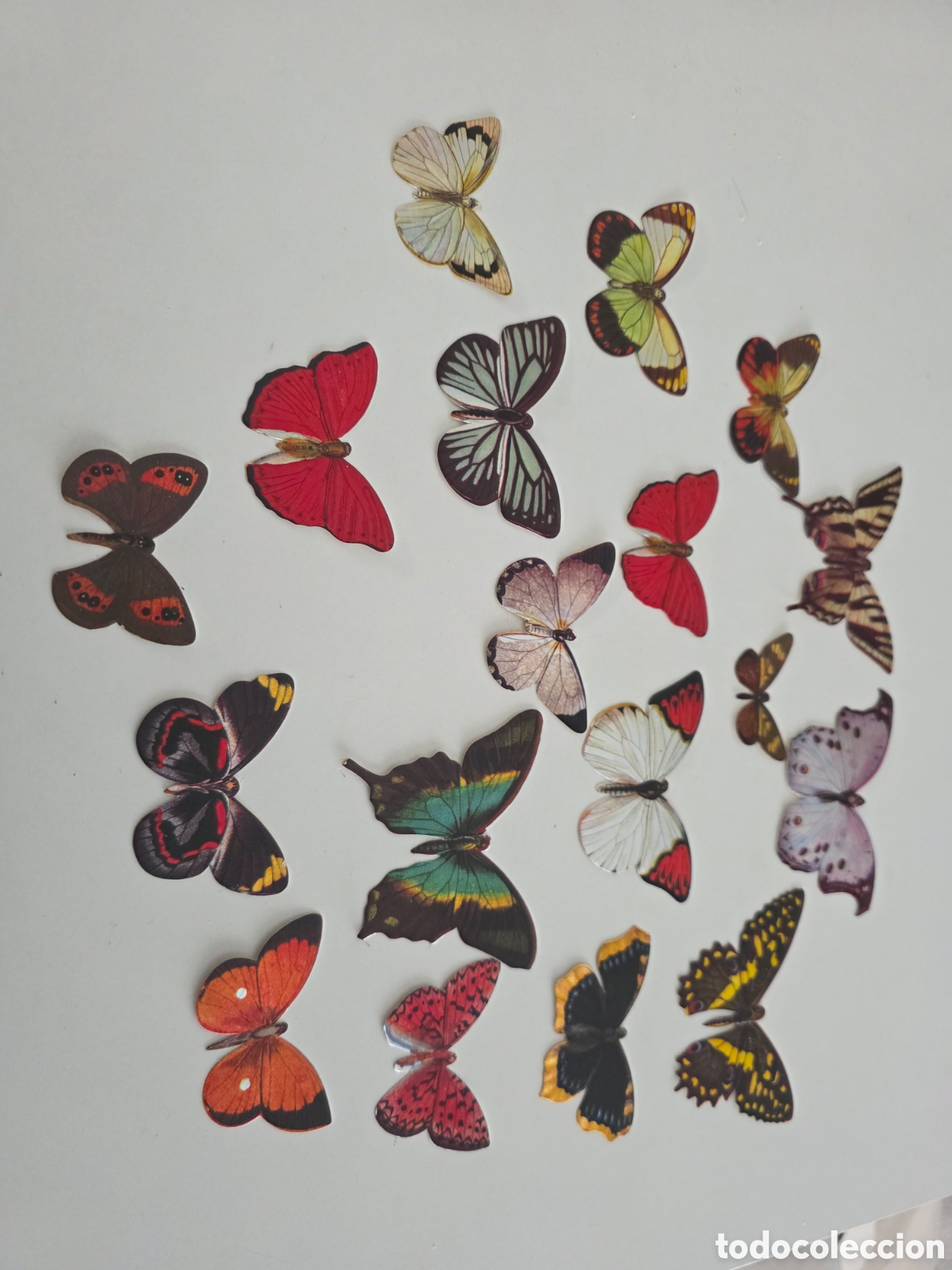 Vintage: Lote Cromos Mariposas Panrico Vintage Troquelados