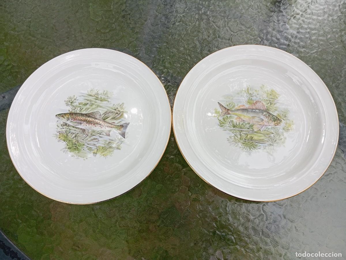 Vintage: Lote de dos platos Porzelanit, peces con canto dorado