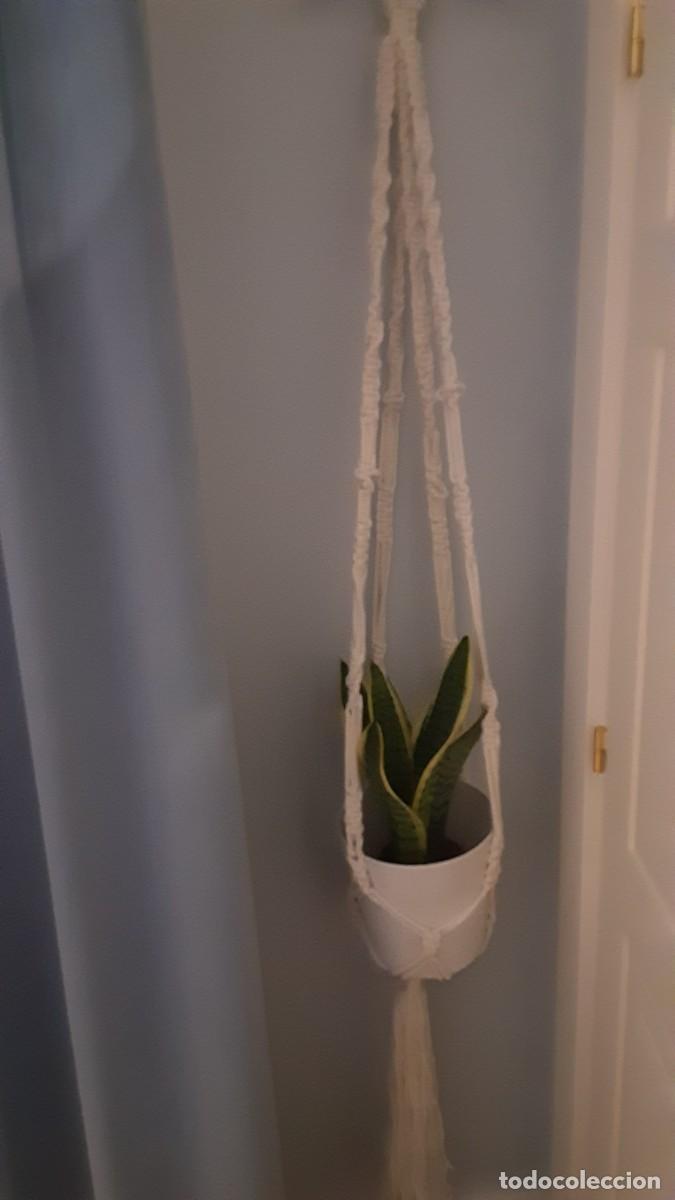 Vintage: Macetero colgante de macrame para pared o techo BOHO CHIC