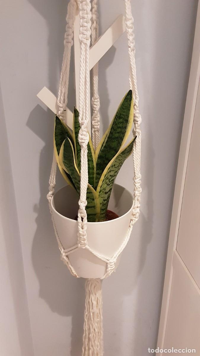 Vintage: Macetero colgante de macrame para pared o techo BOHO CHIC