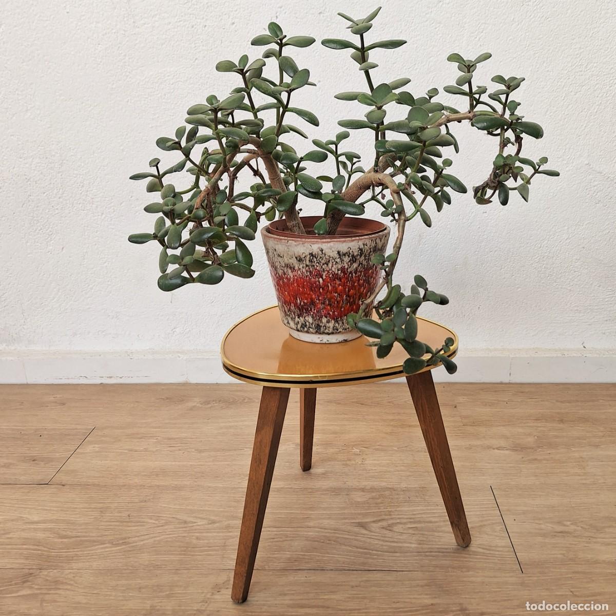 Vintage: Soporte vintage para plantas 1950 - 1960.
