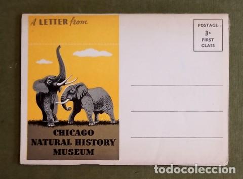 Vintage: Folleto Postal Vintage 1953 - A Letter from Chicago Natural History Museum - &iexcl;Sin abrir!