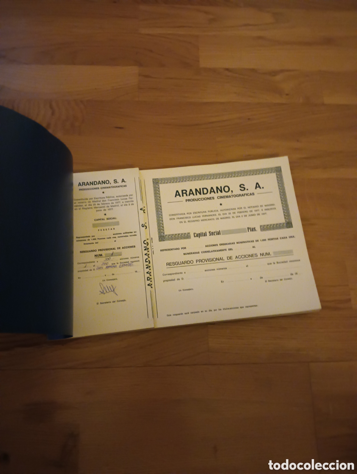 Vintage: Acciones ARANDANO SA. 77