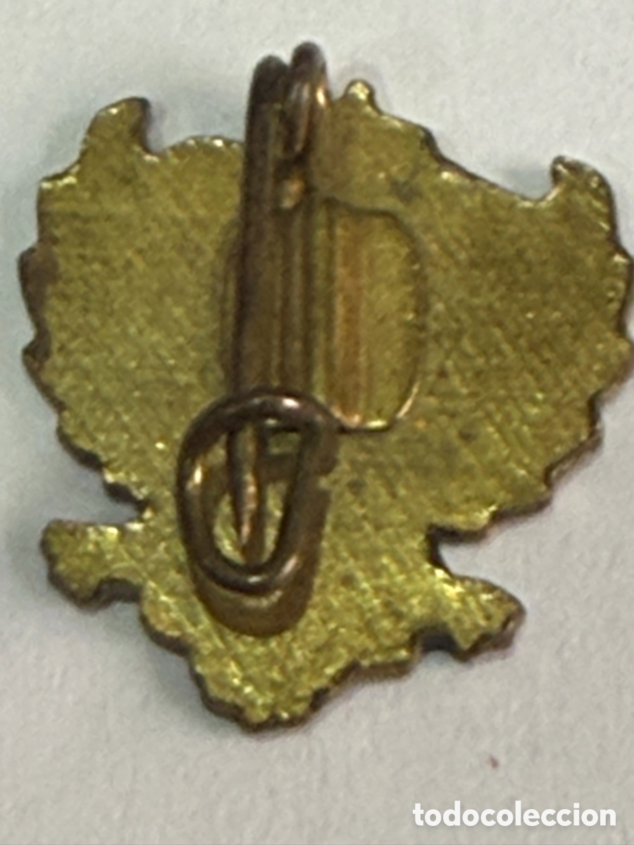 Vintage: Pin antiguo Requetes - de alfiler - - Foto 4
