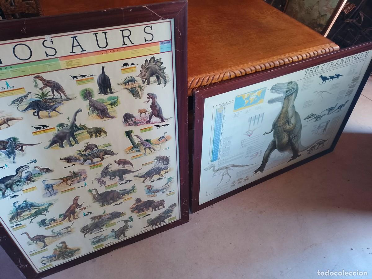 Vintage: 2 Laminas dinosaurios gran tama&ntilde;o enmarcadas