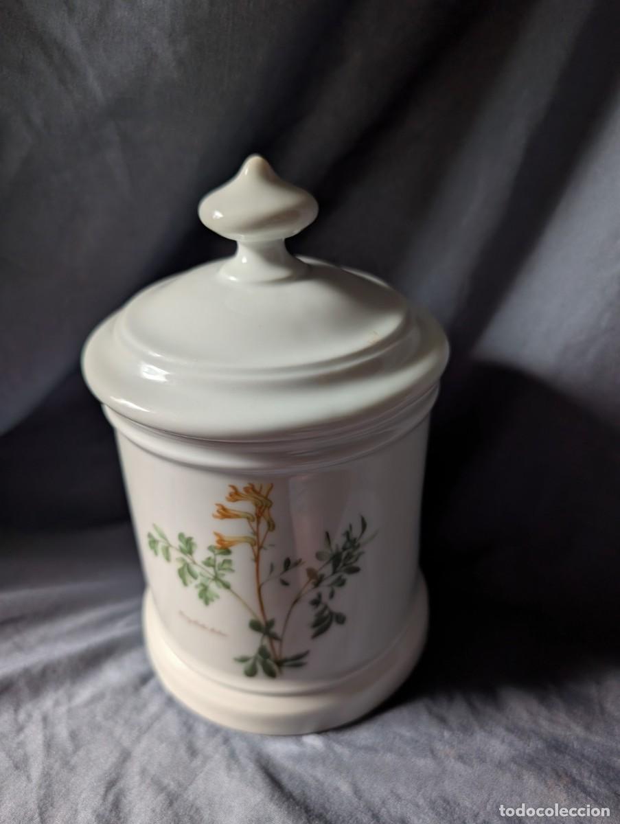 Vintage: Tarro de Porcelana Bidasoa con Tapa &ndash; Decoraci&oacute;n Bot&aacute;nica Herbario &ndash; 18 cm