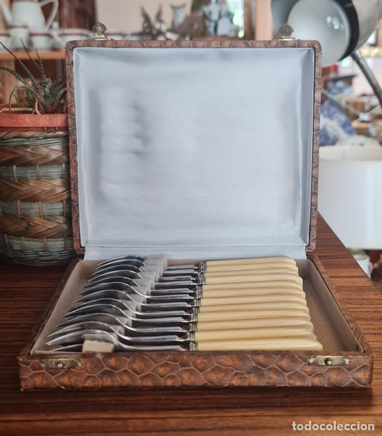 Vintage: 12 Tenedores de Postre &middot; Acero Plateado y Mango de Celuloide Marfil NOS Reino Unido