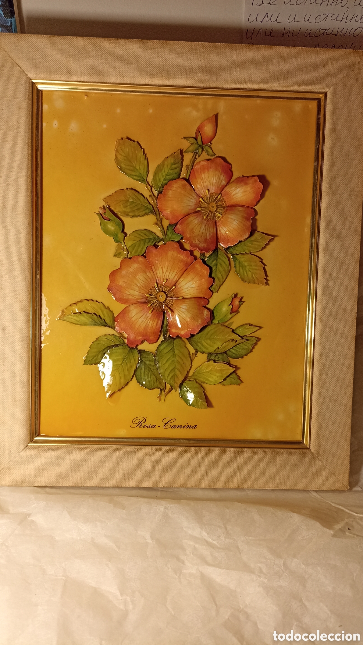 Vintage: Cuadro Vintage en Relieve 3D - &rdquo;Rosa Canina&rdquo; (33x44 cm)