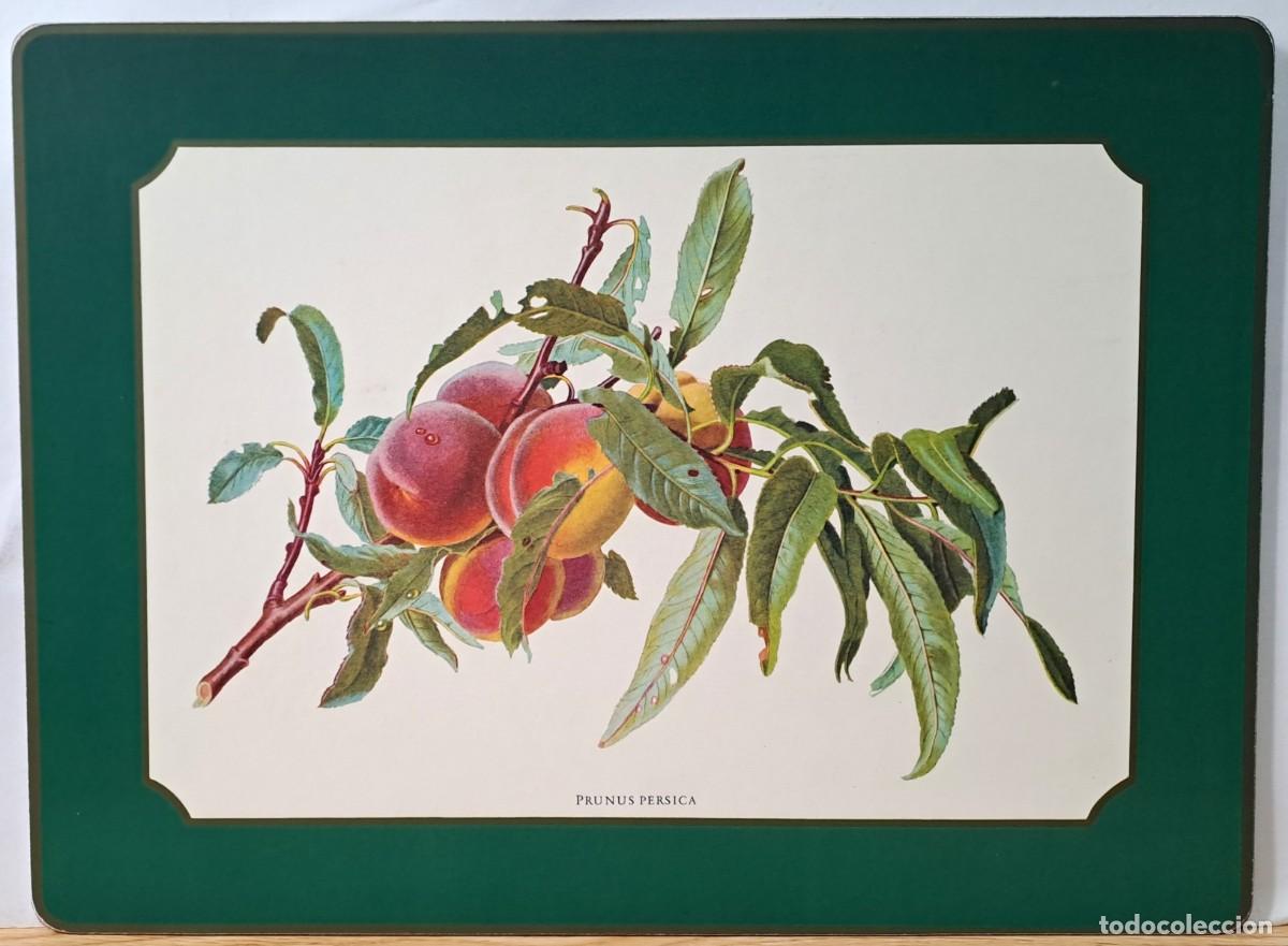 Vintage: ESTUCHE CON SEIS SALVAMANTELES VINTAGE DE CORCHO CON DISE&Ntilde;O FRUTAL. SALVAMATEL-01