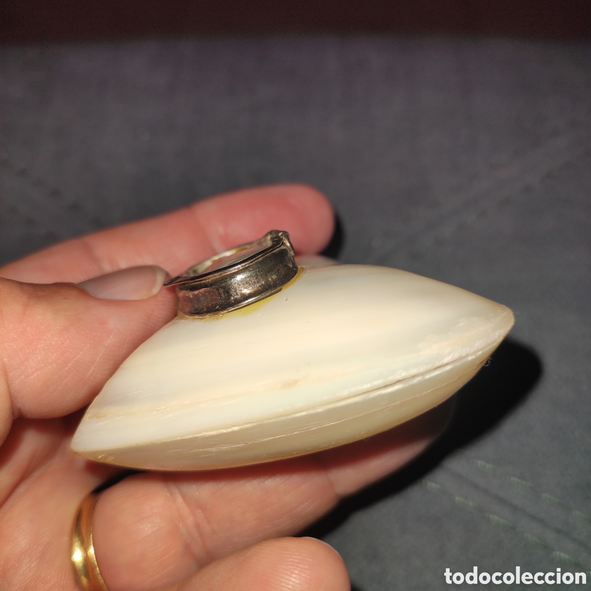 Vintage: Concha n&aacute;car forma de coraz&oacute;n, con tapa , pastillero - Foto 3