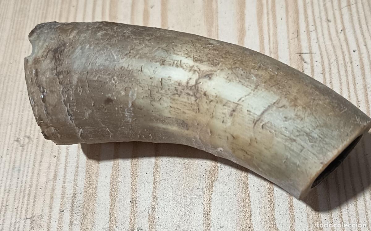 Vintage: cuerno partido de cabra 12 cm