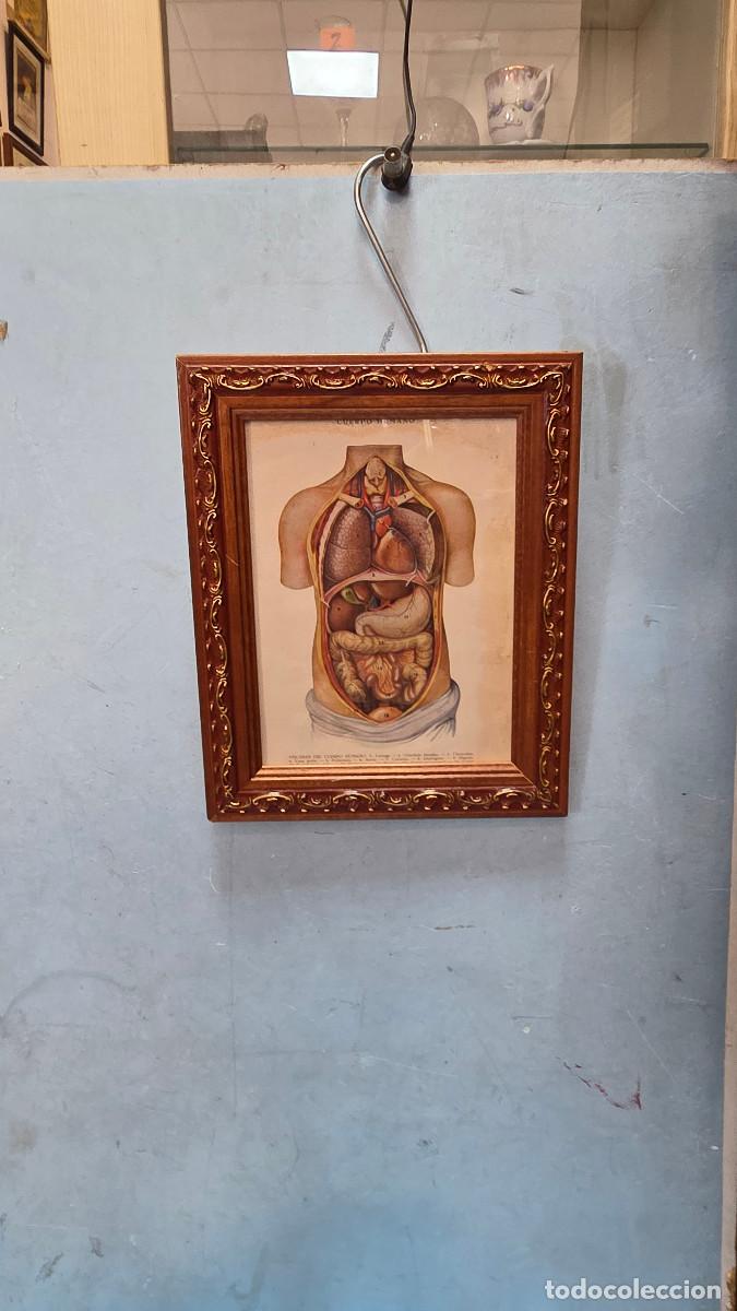 Vintage: cuadro con lamina antigua