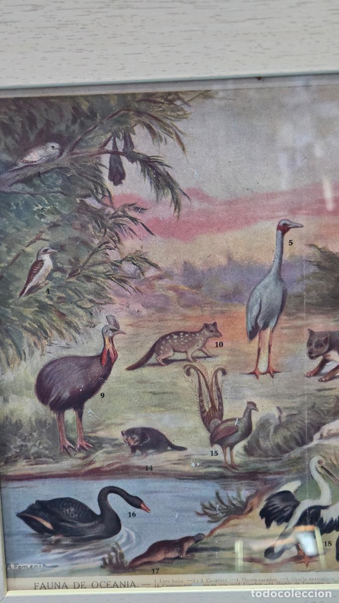 Vintage: cuadro con lamina antigua - Foto 3