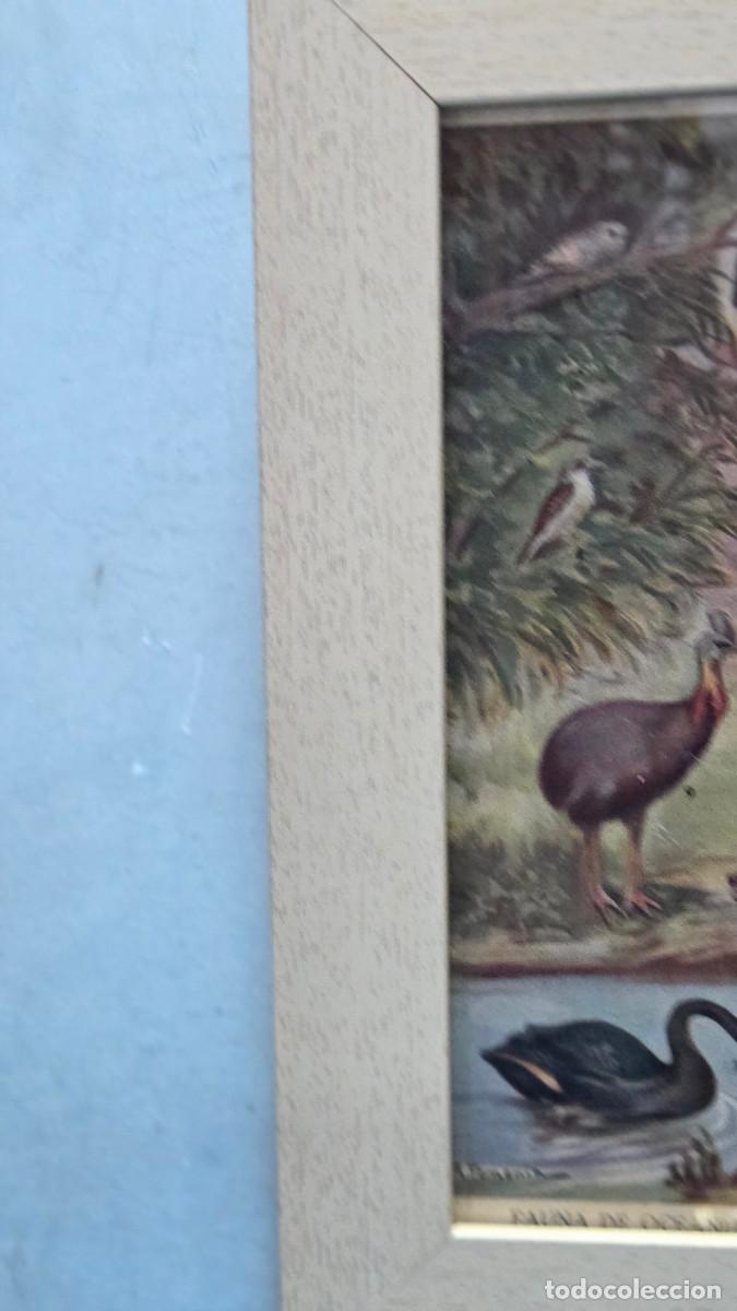 Vintage: cuadro con lamina antigua - Foto 4