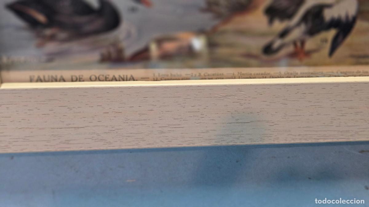 Vintage: cuadro con lamina antigua - Foto 5