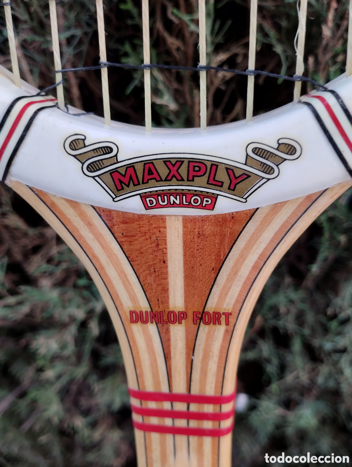 Vintage: Raqueta de tenis Dunlop - Foto 2